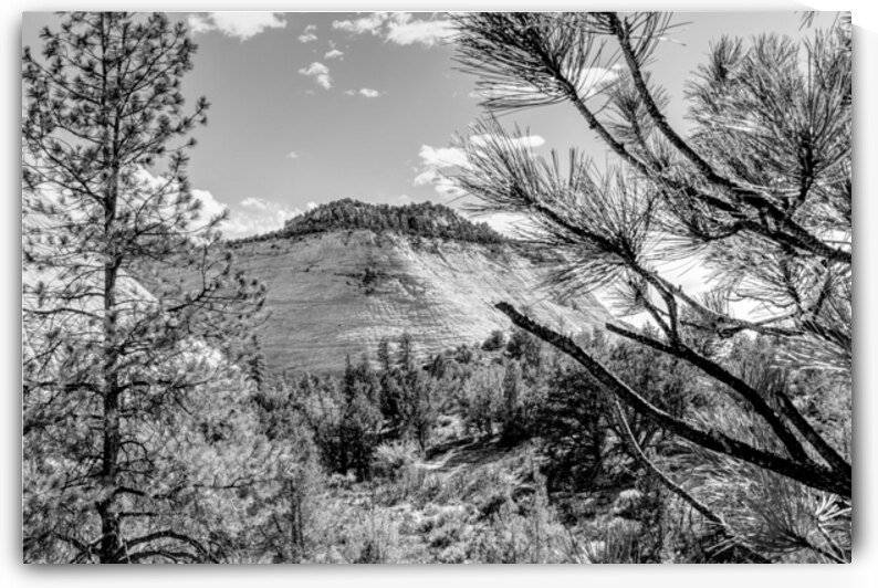 Zion Crazy Quilt Mesa Grayscale by Jennifer White