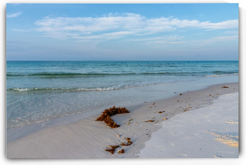 Seaweed On Emerald Coast by Jennifer White