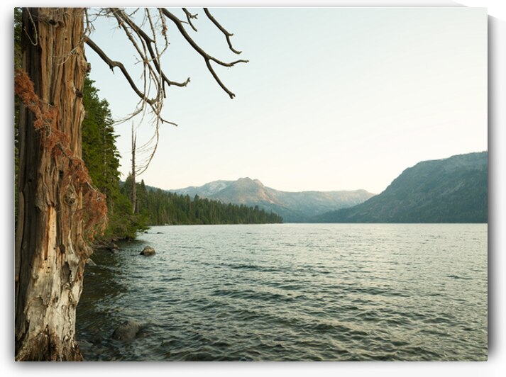 Fallen Leaf Lake Wilderness  by Brad Scott