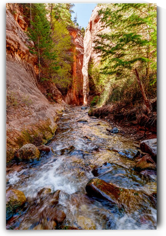 Kanarra Spring Creek Slot Canyon by Jennifer White