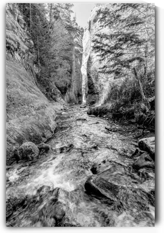 Kanarra Spring Creek Slot Canyon Grayscale by Jennifer White