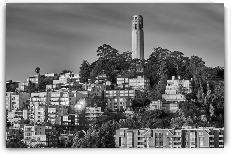 San Francisco Coit Tower Sunrise B&W by Ryan Cameron