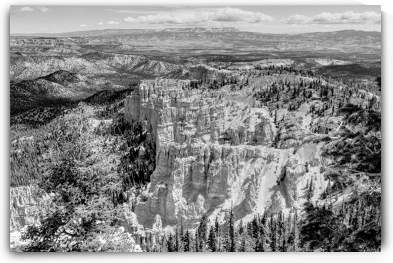 Bryce Canyon Rainbow Point Grayscale by Jennifer White