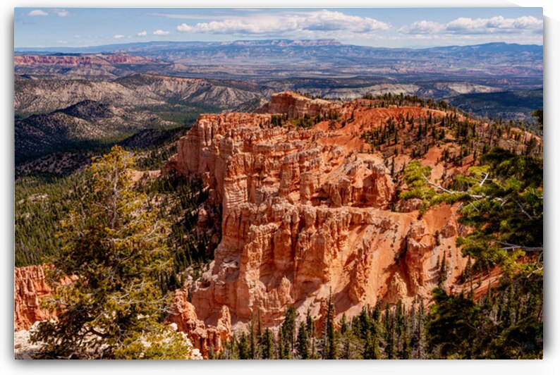 Bryce Canyon Rainbow Point by Jennifer White