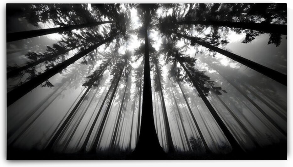 The Vertical Silence – Black & White Landscape Art Print by Savage Art Prints