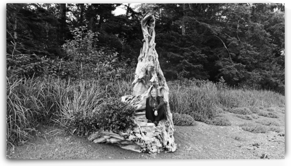 Kelly  Tree by Jordan Nobles