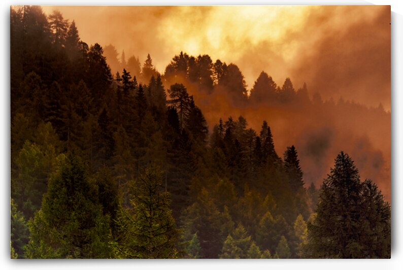 Magic in the Mountains by Norma Brandsberg Photography