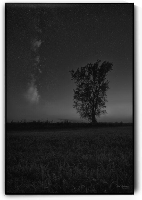 Roaring Milky Way - Lonely Tree in Black and White by Oleg Rumiancev