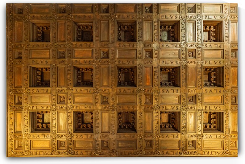 Latin Ceiling Labyrinth by Geoffrey Prior