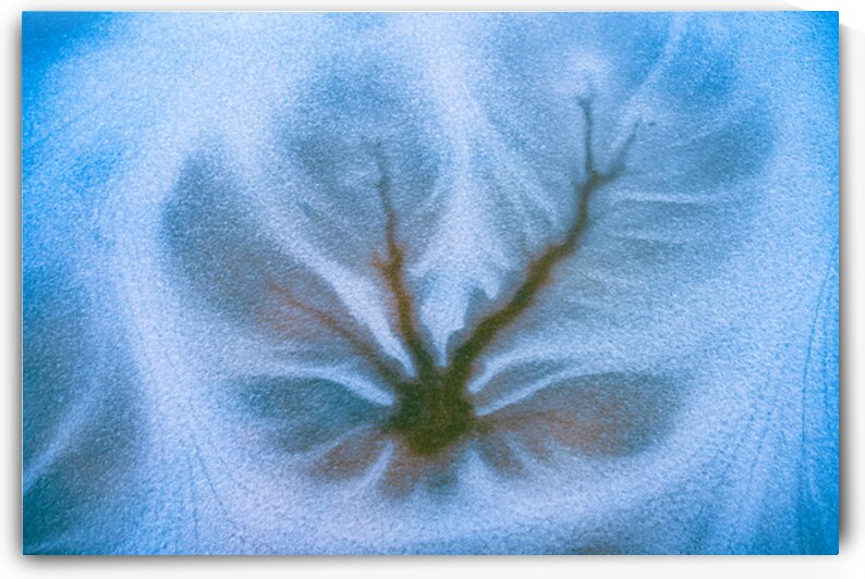 Winters Windowpane Arbor by Geoffrey Prior