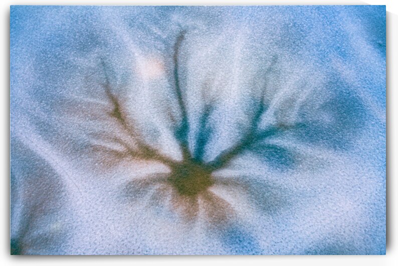 Frozen Dendritic Bloom by Geoffrey Prior