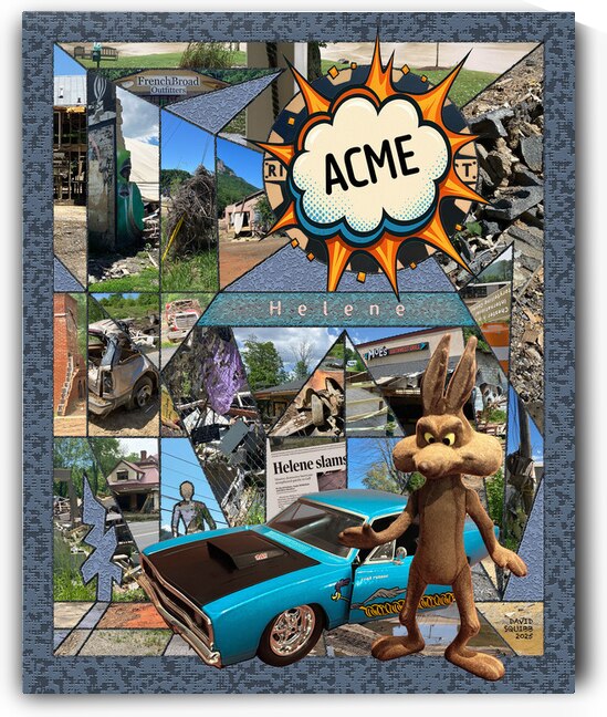 ACME Helene by David Squibb