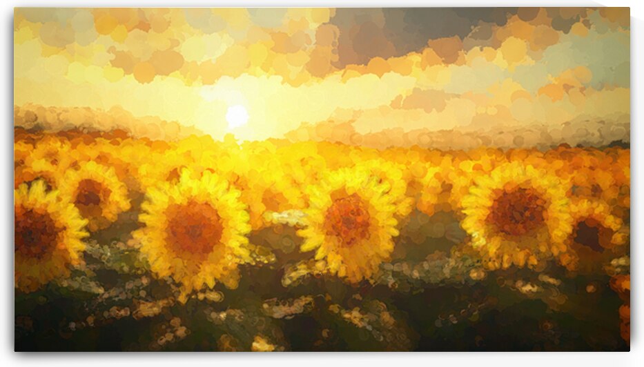 Golden Sunflower Field   GIA2501 0486 OIL by JordiCarrio
