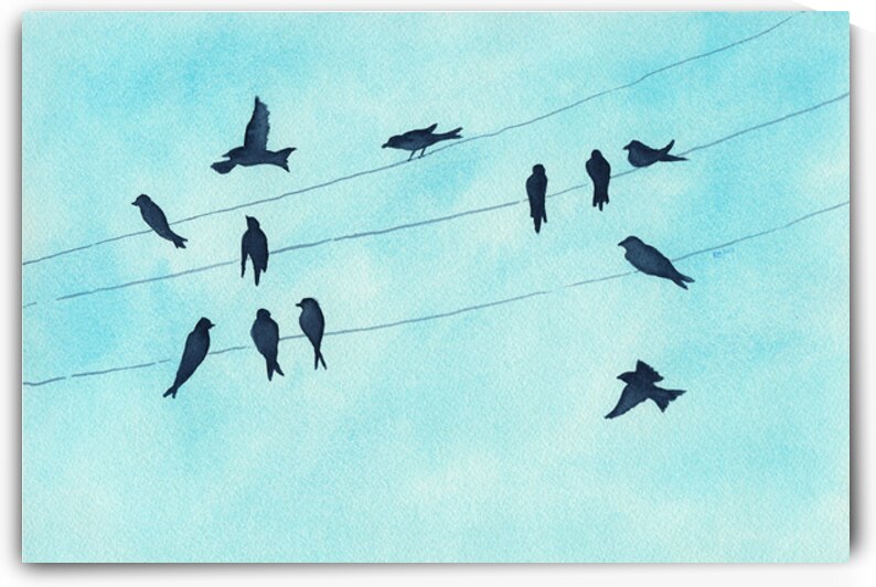 Gathering of swallows by Karen Kaspar
