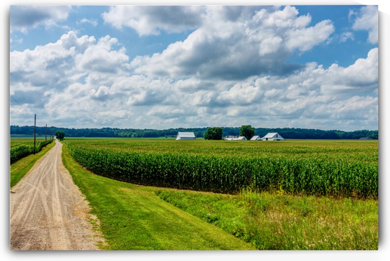 Indiana Corn Farm From McAllister Bridge by Jennifer White