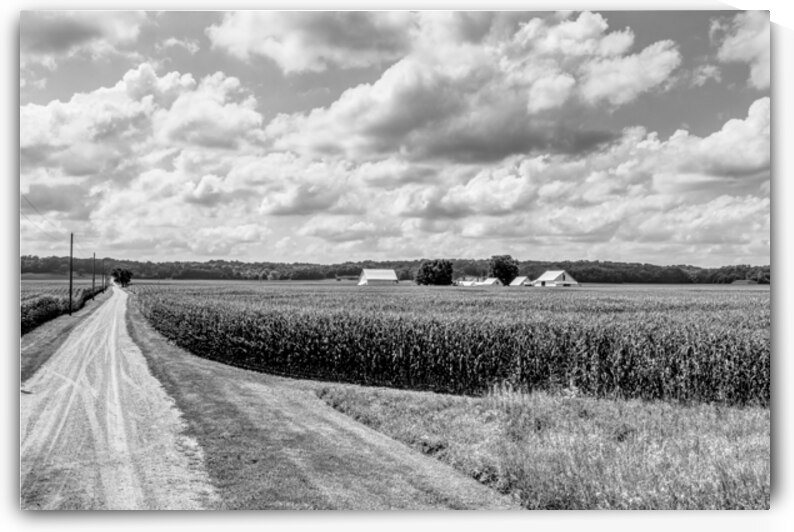 Indiana Corn Farm From McAllister Bridge Grayscale by Jennifer White
