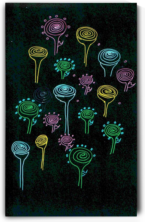 Abstract Colourful Spiral Flowers by Catriona Roberts Nature Photography and Designs