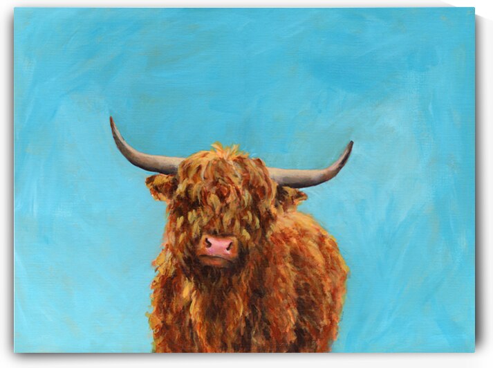 Curly highland cow by Karen Kaspar