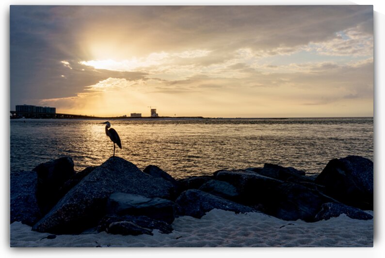 Blue Heron Silhouette Orange Beach by Jennifer White