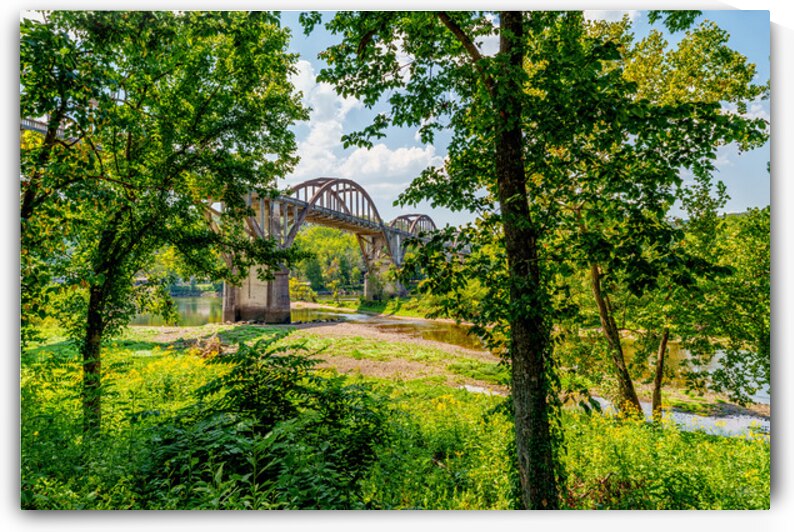 Cotter Bridge Framed By Trees by Jennifer White