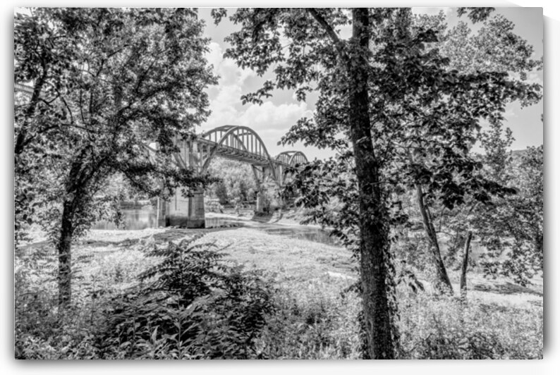 Cotter Bridge Framed By Trees Grayscale by Jennifer White