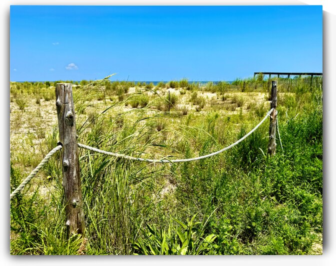 Broadkill Beach on the Ropes by Bill Swartwout Photography