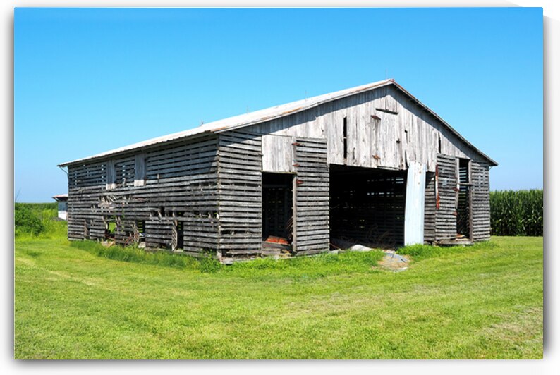 Old Barn Shed Milton by Bill Swartwout Photography