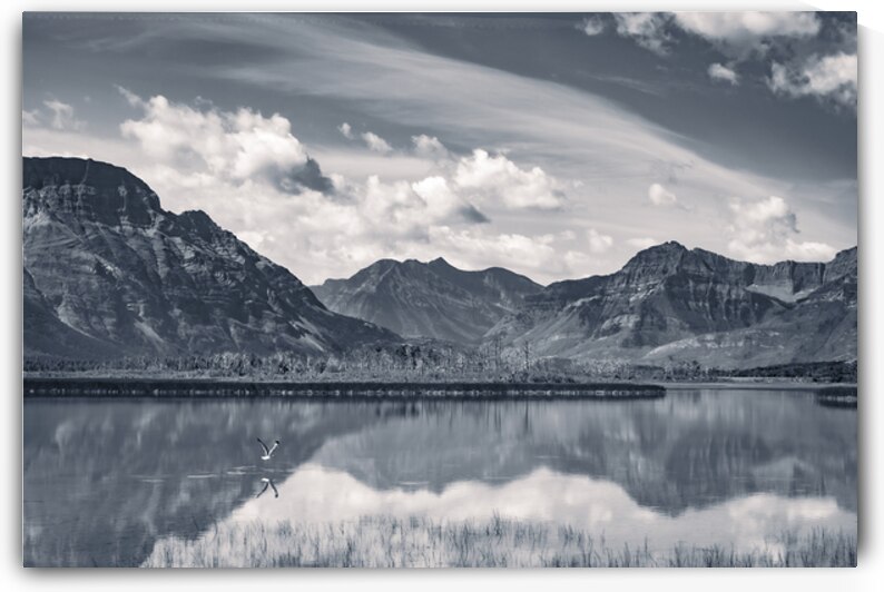 Reflections of Tranquility by Marc Gilbert Photography