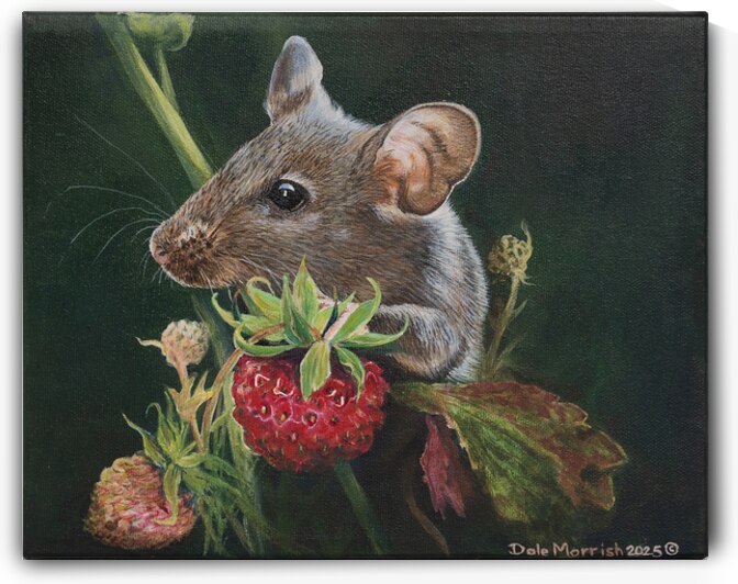 Strawberry Mouse 8x10 by Dale Morrish