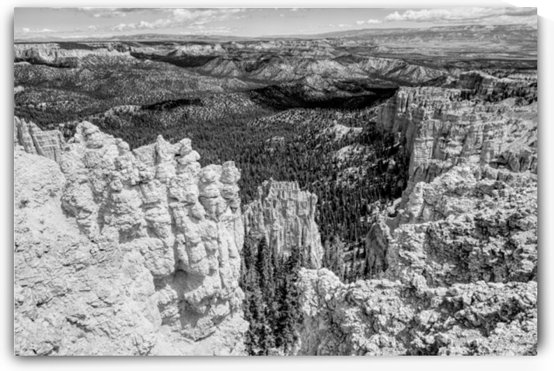 Bryce Hoodoo Viewpoint Grayscale by Jennifer White