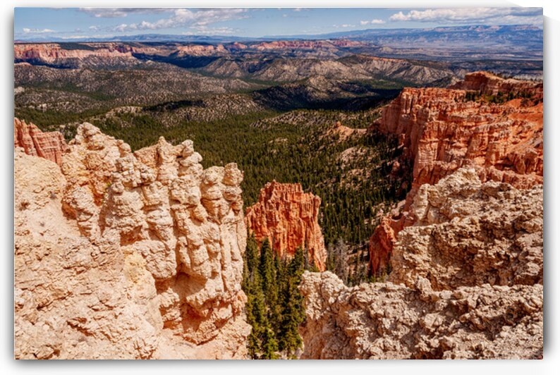 Bryce Hoodoo Viewpoint by Jennifer White