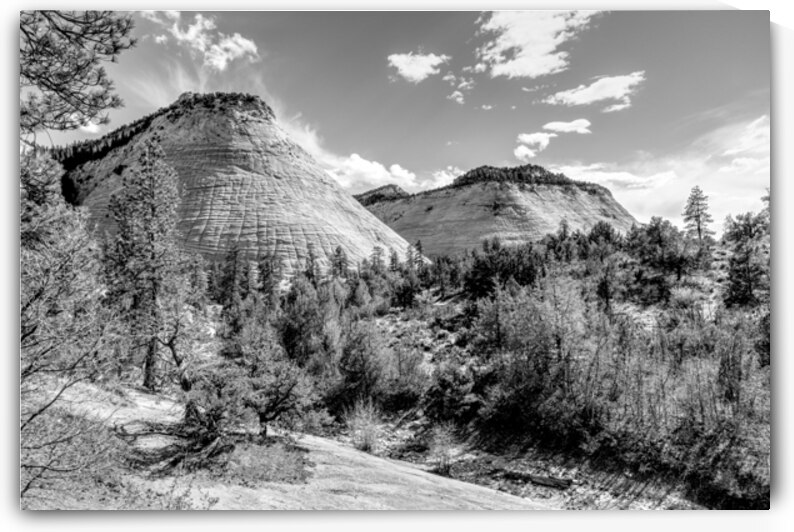 Checkerboard And Crazy Quilt Mesas Grayscale by Jennifer White