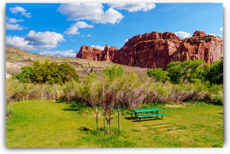 Capitol Reef Gifford Picnic Area by Jennifer White