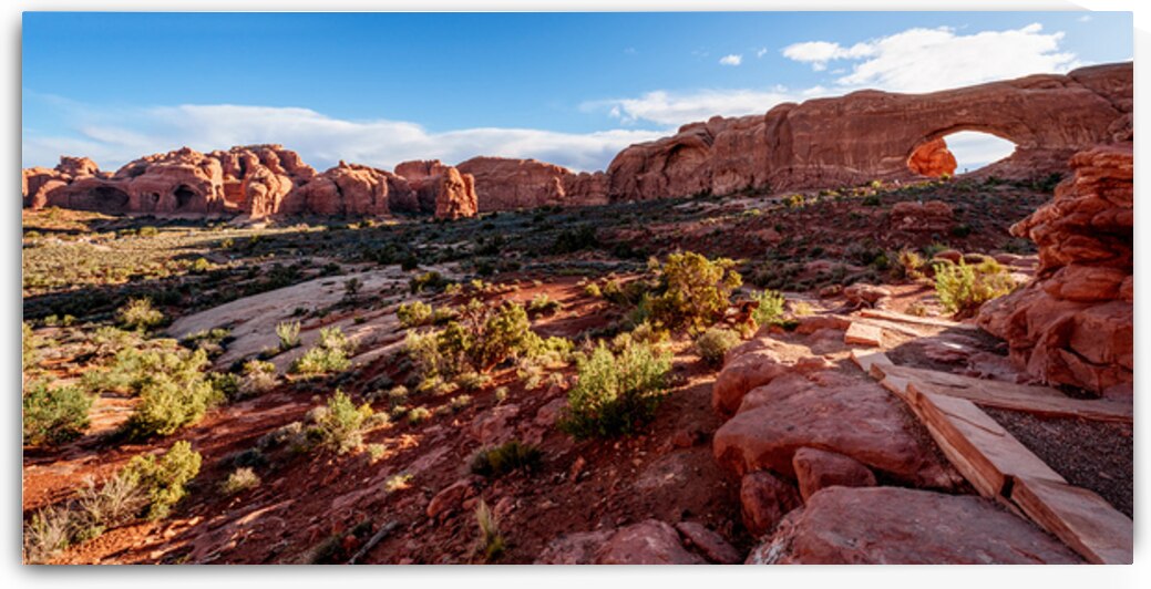 Panoramic View Of Arches Windows Section by Jennifer White