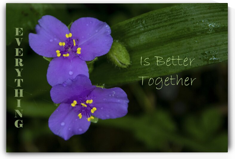 Better Together by Norma Brandsberg Photography