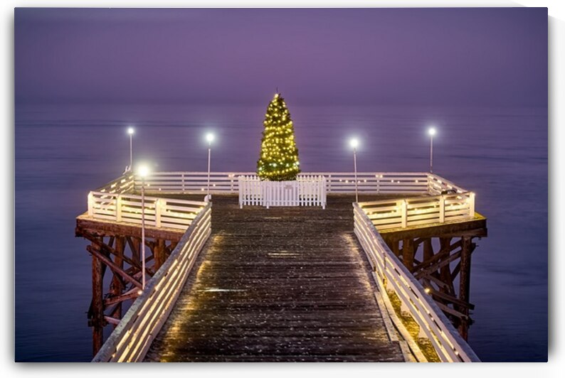 Christmas Tree On The Ocean by Ryan Cameron