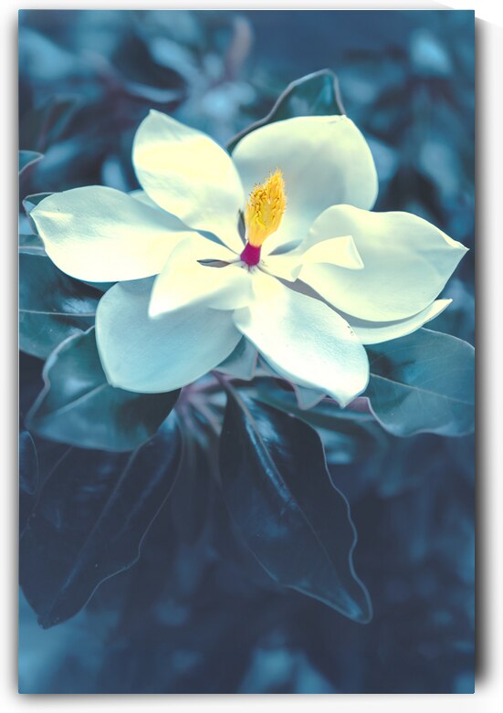 Sweet Southern Comfort by Greg Sarver Photography