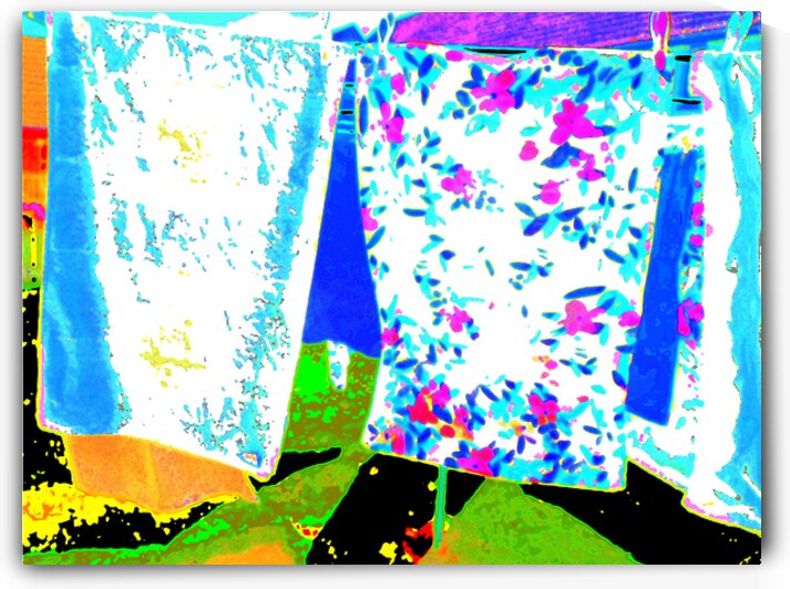  Abstract Laundry Day                                                                                                                     by Catriona Roberts Nature Photography and Designs