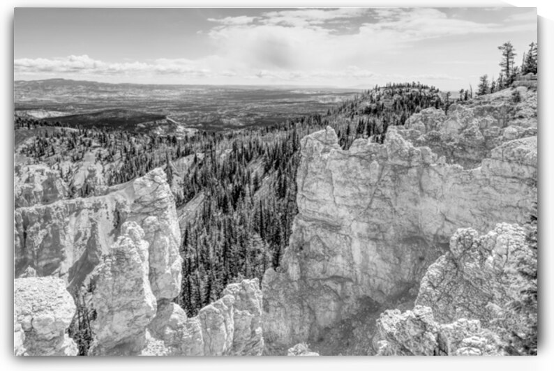 Bryce Canyon Frame Grayscale by Jennifer White