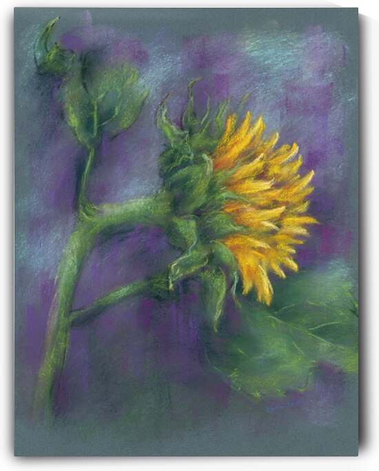 Single sunflower soft pastels painting by Karen Kaspar