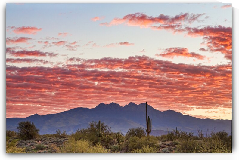 Arizona Four Peaks Mountain Colorful View by Bo Insogna