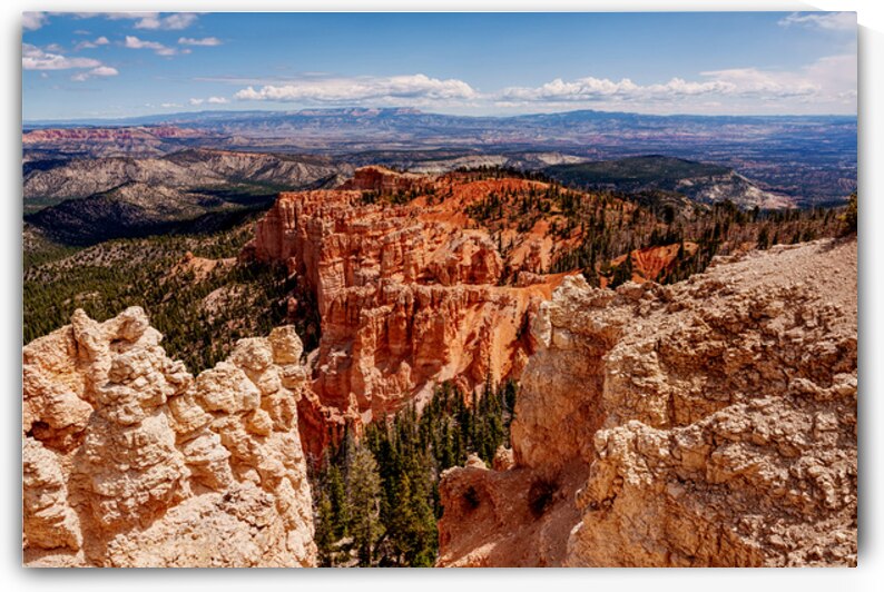 Bryce Rainbow Point Hoodoos View by Jennifer White