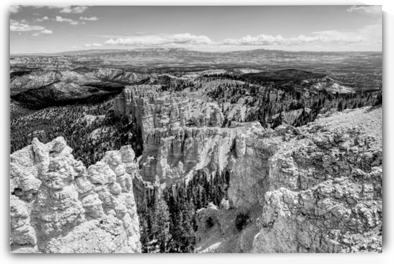 Bryce Rainbow Point Hoodoos View Grayscale by Jennifer White