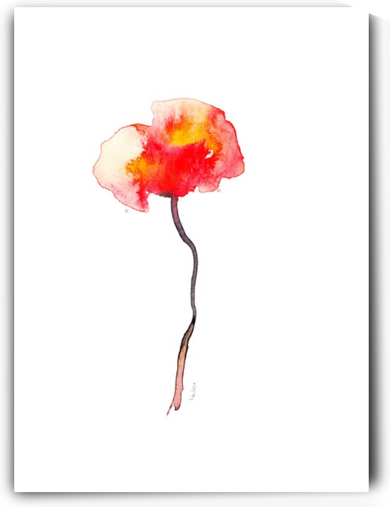 single poppy watercolor painting  by Karen Kaspar