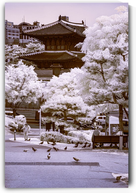 Harmony by Seoul Man