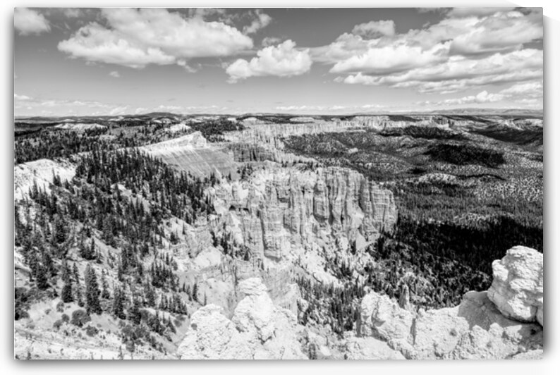 Sunlit Hoodos Bryce Canyon Rainbow Point Grayscale by Jennifer White