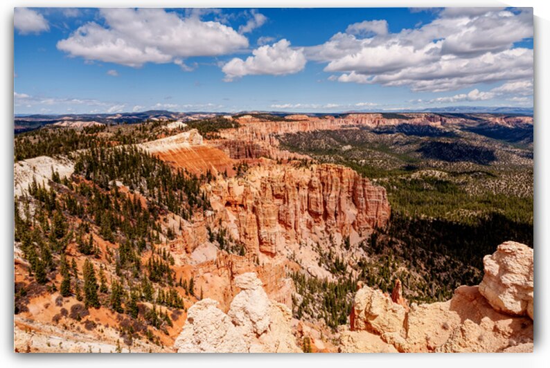 Sunlit Hoodoos Bryce Canyon Rainbow Point by Jennifer White