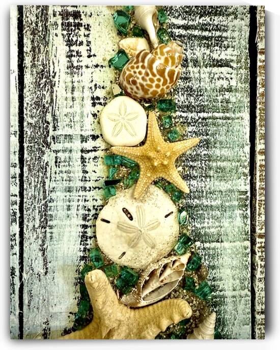 She Sells Sea Shells by Bill Swartwout Photography