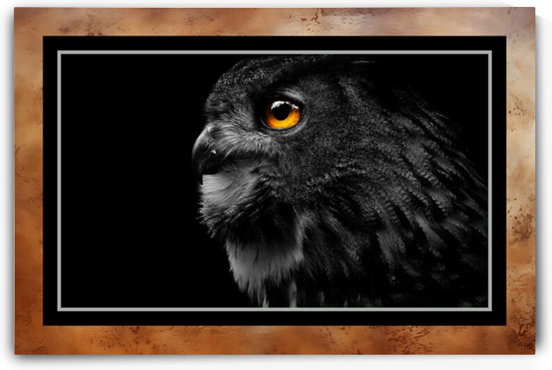 015 004 by Jack Deco