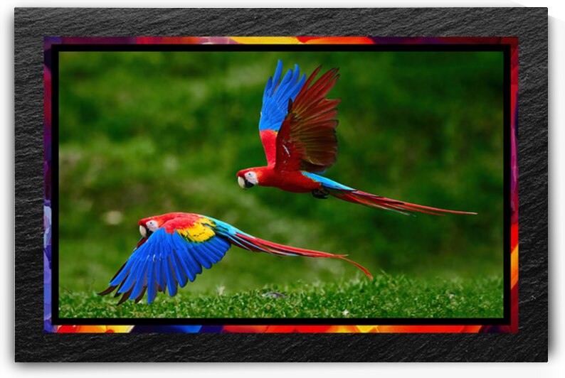 015 003 by Jack Deco